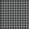 Ceramic Pool Unglazed Black Mosaic 23x23mm (30x30cm)