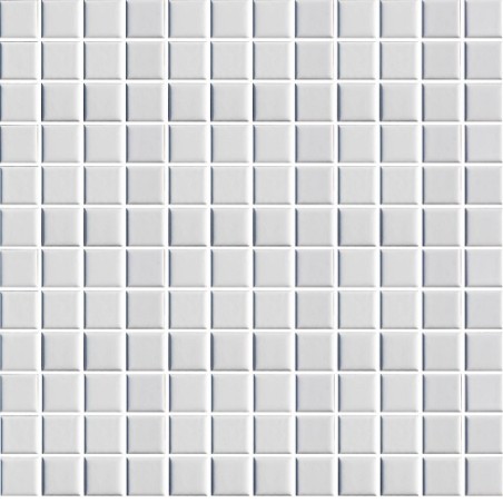 Ceramic Pool Unglazed White Mosaic 23x23mm (30x30cm)