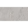 Planet Grey Lappato 60x120cm (box of 2)