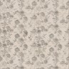 Borneo Sand Malone Floral Dec Matt 30x75cm (box of 7)