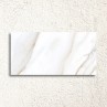 Calacatta Gold Matt 32x62.5cm (box of 5)