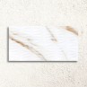 Calacatta Gold Decor Matt 32x62.5cm (box of 5)