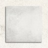 Forum Blanco Matt 100x100cm (box of 2)