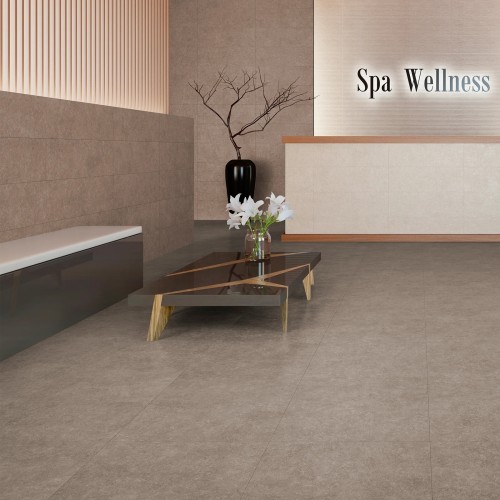 Light Stone Taupe Matt 30x90cm (box of 5)