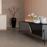 Light Stone Taupe Matt 30x90cm (box of 5)