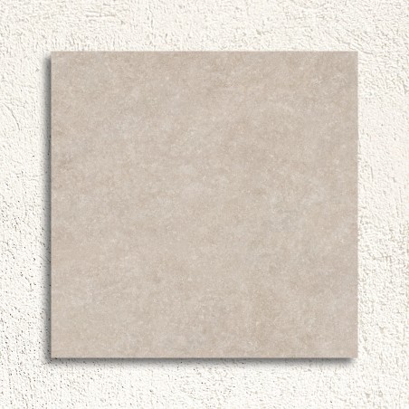 Light Stone Beige Matt 60x60cm (box of 4)
