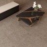 Light Stone Taupe Matt 60x60cm (box of 4)