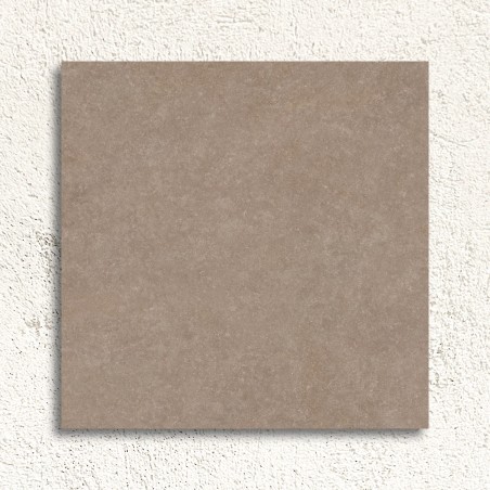 Light Stone Taupe Matt 60x60cm (box of 4)