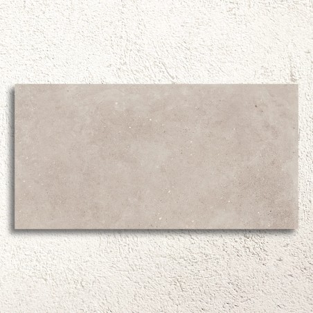 Mixtone Grey Matt 60x120cm (box of 2)