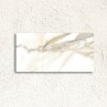 Reflect Calacatta Polished 60x120cm (box of 2)
