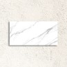 Reflect Carrara Polished 60x120cm (box of 2)