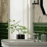 Windsor Balmoral Green Moldura Italiana Gloss 5x15cm