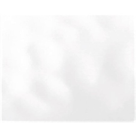 Bumpy White Gloss 20x30cm (box of 17)