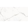 Marmorea Estatuario Matt 60x120cm (box of 2)