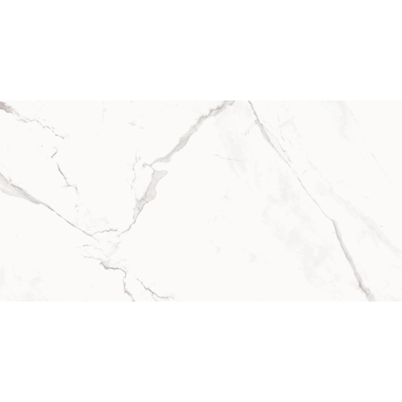 Marmorea Estatuario Matt 60x120cm (box of 2)