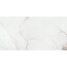 Calacata Matt 60x120cm (box of 2)