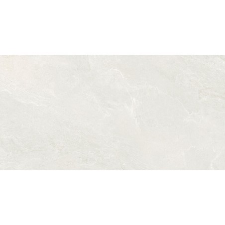 Slate Mix White Matt 60x120cm (box of 2)