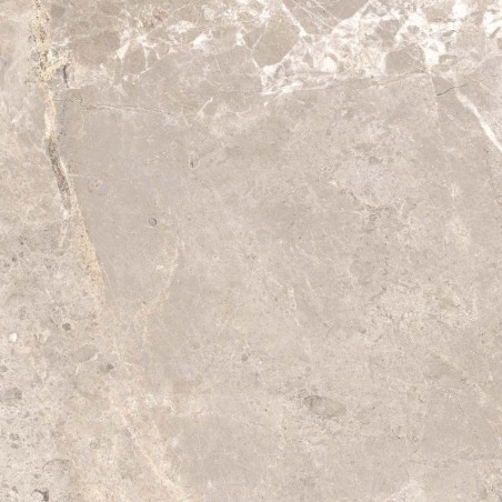 Bosco Grey Matt 60x60cm (box of 4)