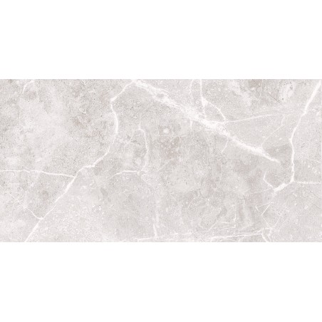 Agora Light Grey Matt 30x60cm (box of 9)