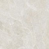 Genesis Light Grey Matt 120x120cm (box of 2)