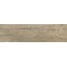 Forest Dark Beige Matt 20x75cm (box of 7)