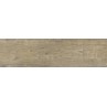 Forest Dark Beige Matt 20x75cm (box of 7)