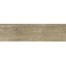 Forest Dark Beige Matt 20x75cm (box of 7)