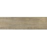 Forest Dark Beige Matt 20x75cm (box of 7)