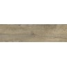 Forest Dark Beige Matt 20x75cm (box of 7)