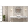 Imperial Warm White Matt 30x60cm (box of 9)