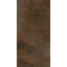 Magnetic Rust Brown Matt 60x120cm (box of 6)