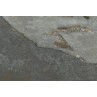 Newstone Jade Green Matt 40x60cm (box of 6)