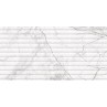 Riva White Decor Matt 30x60cm (box of 9)