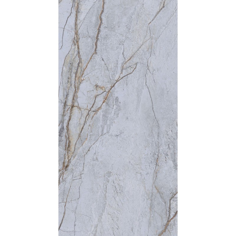 Roma Blue Matt 60x120cm (box of 2)