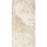 Sahara Beige Matt 60x120cm (box of 2)