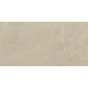 Stoneart Beige Matt 30x60cm (box of 8)