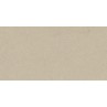 Stoneart Beige Matt 30x60cm (box of 8)