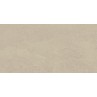 Stoneart Beige Matt 30x60cm (box of 8)