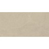 Stoneart Beige Matt 30x60cm (box of 8)