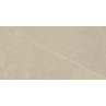 Stoneart Beige Matt 30x60cm (box of 8)