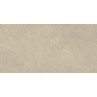 Stoneart Beige Matt 30x60cm (box of 8)