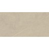 Stoneart Beige Matt 30x60cm (box of 8)