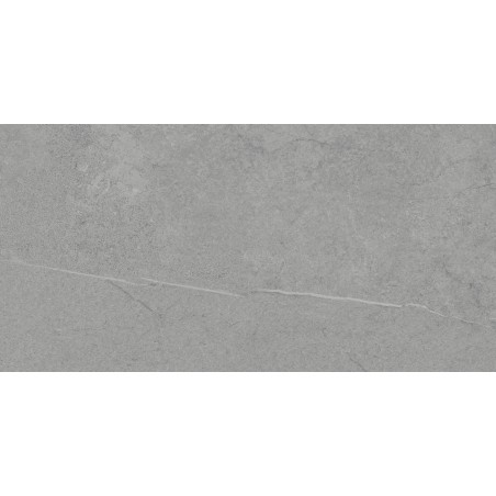 Stoneart Grey Matt 30x60cm (box of 8)