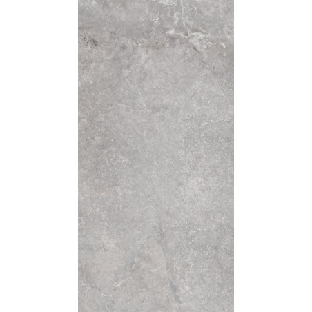 Beyond Grey Matt 60x120cm (box of 2)