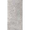 Beyond Grey Matt 60x120cm (box of 2)