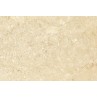 Fossil Stone Beige Matt 40x60cm (box of 6)