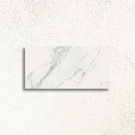 Calacatta Marble White Matt 59.8x119.8cm (box of 2)