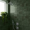 Dakota Ivy Gloss 32x62.5cm (box of 5)