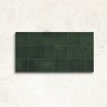 Dakota Ivy Gloss 32x62.5cm (box of 5)