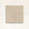 Elva Greige Matt 100x100cm (box of 2)